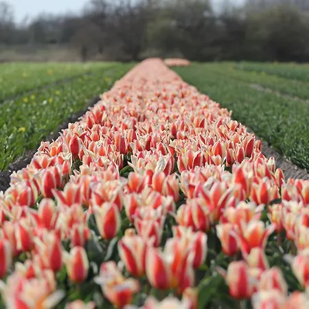 Semesterpark Duinrust