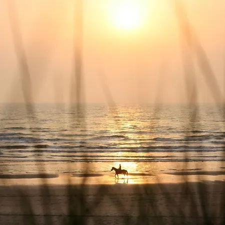 Vakantiepark Duinrust