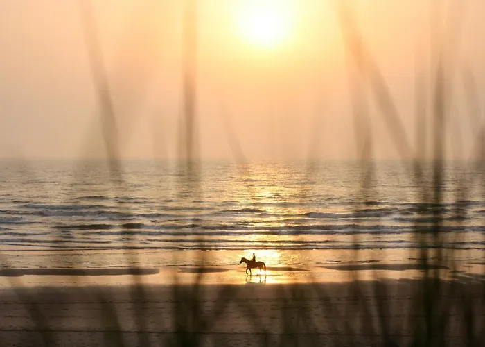 Parco vacanze Duinrust