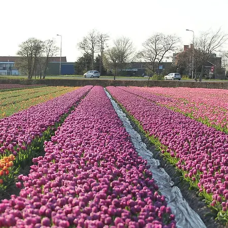 Vakantiepark Duinrust