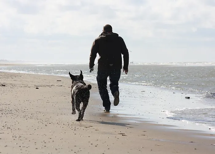 Vakantiepark Duinrust